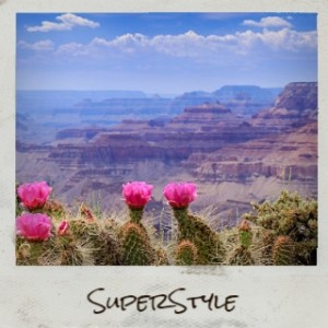 Album Superstyle from 