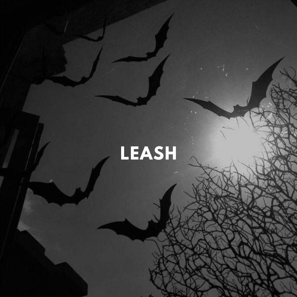 leash (Explicit)