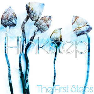 ดาวน์โหลดและฟังเพลง No Name พร้อมเนื้อเพลงจาก Hinkstep