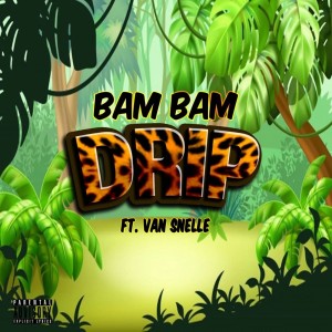 Album Drip from Bambamdripboy888