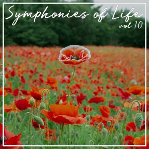 Listen to La passione di Nostro Signore Gesu Cristo: Part I: Aria: Giacche mi tremi in seno - Pietro song with lyrics from Chorus Musicus Köln
