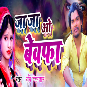 Album Ja Ja O Bewafa from Ravi Diljaan
