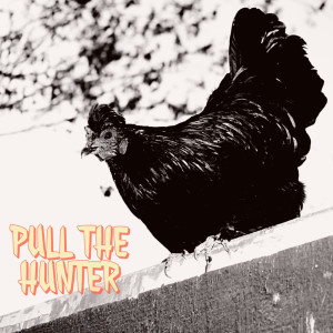 Pull the Hunter的专辑Pull the Hunter