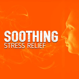 收聽Stress Relief的Ice Melt歌詞歌曲
