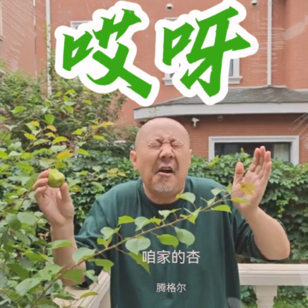 咱家的杏 (完整版)