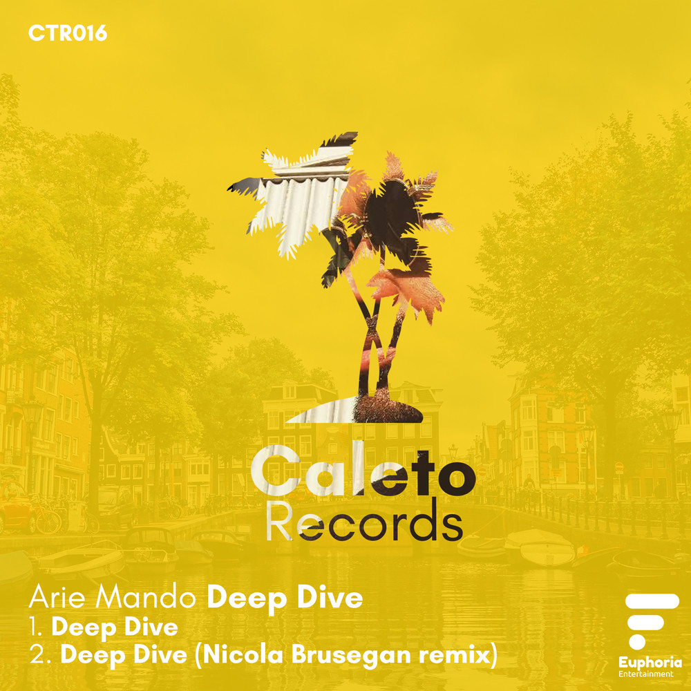 Deep Dive (Nicola Brusegan Remix)