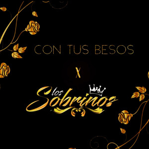 收听Los Sobrinos的Con Tus Besos歌词歌曲