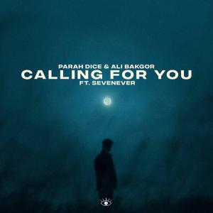 Album Calling For You from SevenEver