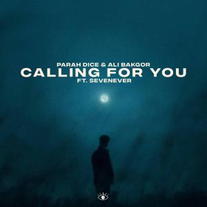 Album Calling For You from Ali Bakgor