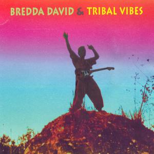 ดาวน์โหลดและฟังเพลง We No Wa Stop พร้อมเนื้อเพลงจาก Bredda David