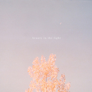ดาวน์โหลดและฟังเพลง Beauty in the Light (Acoustic) พร้อมเนื้อเพลงจาก Hollow Coves