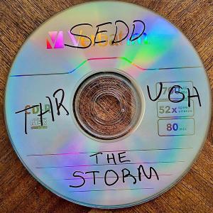 收聽Sedd的Through the Storm歌詞歌曲