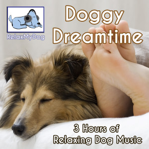 ดาวน์โหลดและฟังเพลง Relaxing Doggy พร้อมเนื้อเพลงจาก Relaxmydog