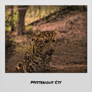 Album Mysterious Cty from Various