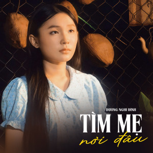 Album Tìm Mẹ Nơi Đâu from Dương Nghi Đình