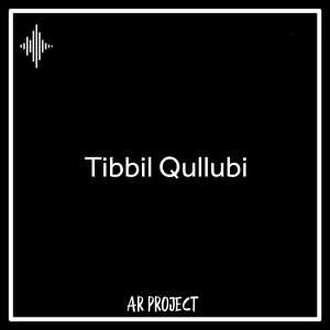 Dengarkan DJ Tibbil Qullubi lagu dari Ar Project dengan lirik