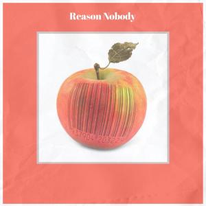 Album Reason Nobody from 