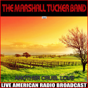 收聽The Marshall Tucker Band的Can't You See (Live)歌詞歌曲