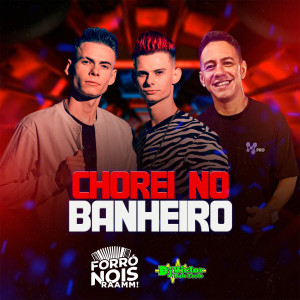 Album Chorei no Banheiro (Remix) from DjVictorbateforte