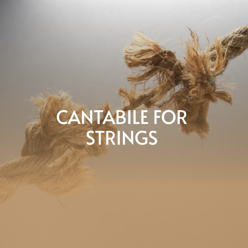 Cantabile for Strings