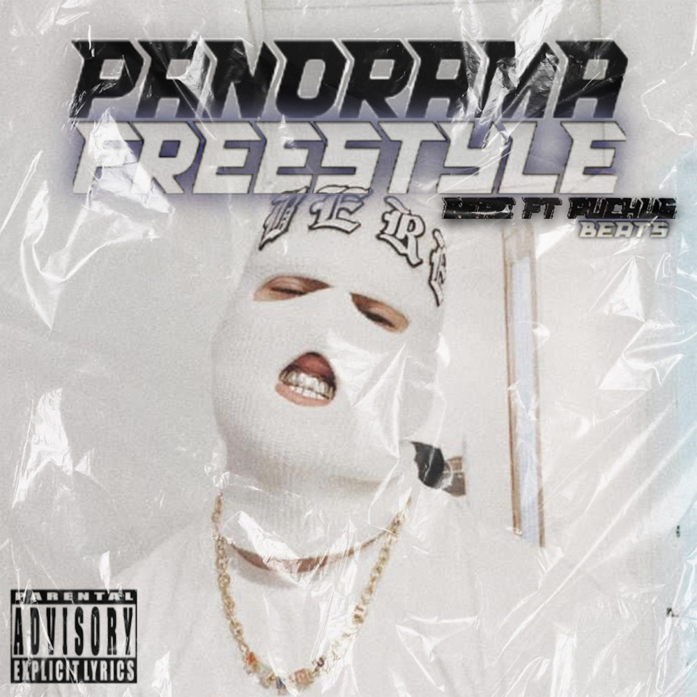 Panorama Freestyle(feat. Puchus Beats) (Explicit)