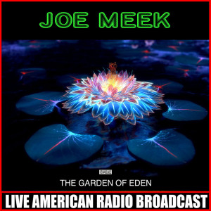 ดาวน์โหลดและฟังเพลง A Woman In Love พร้อมเนื้อเพลงจาก Joe Meek