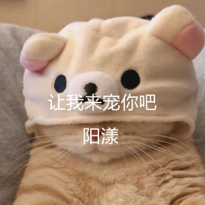 Listen to 让我来宠你吧 (Single Version) song with lyrics from 阳漾