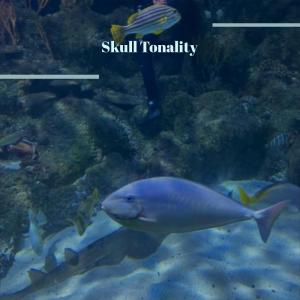 收听Humer Smon的Skull Tonality歌词歌曲
