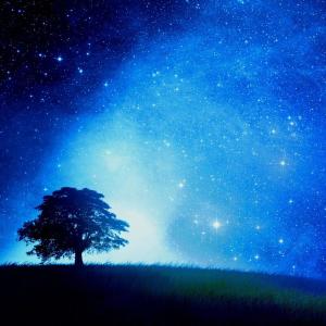 NORTH的專輯Blue Eyed Soul