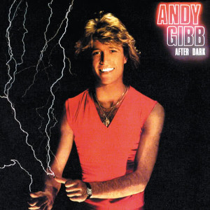 ดาวน์โหลดและฟังเพลง After Dark พร้อมเนื้อเพลงจาก Andy Gibb