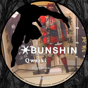 收聽Qwazki的Señor Beavis歌詞歌曲