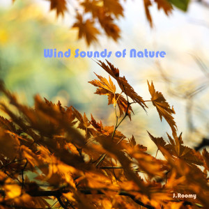 收聽J.Roomy的Wind Sound (White Noise, ASMR, Nature Sound)歌詞歌曲