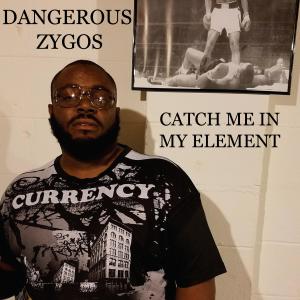 อัลบัม Catch Me In My Element (Explicit) ศิลปิน Dangerous Zygos