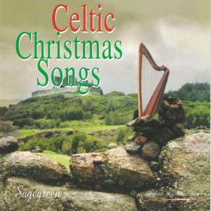 Marco Pasetto的专辑Celtic Christmas Songs (feat. Nadia Marolli, Patrizia Borromeo & Riccardo Sharf)
