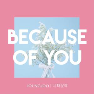 收聽정주的Because of You歌詞歌曲