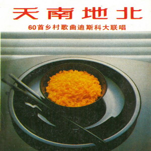 收听胡寅寅的60首乡村歌曲迪斯科大联唱（二）歌词歌曲