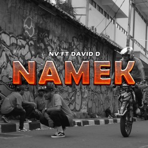 Album Namek (Explicit) from NV