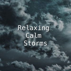 ดาวน์โหลดและฟังเพลง Storm In The Background White Noise พร้อมเนื้อเพลงจาก Thunderstorm Sound Bank