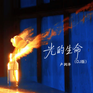 Album 光的生命 (DJ版) from 卢润泽
