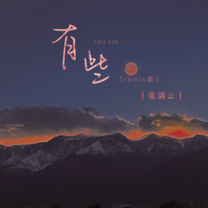 張滿雲的專輯有些(Remix版)