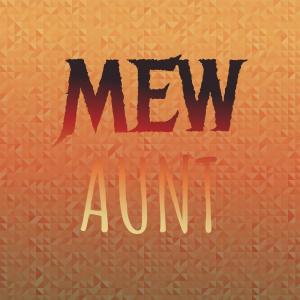 Various Artists的專輯Mew Aunt