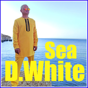 Album Sea from D.White
