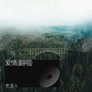 Listen to 蝴蝶 (cover: 陶喆) (Demo) song with lyrics from 老湿人