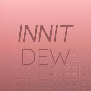 Various Artists的專輯Innit Dew