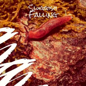 Dengarkan lagu Sluggish Falling nyanyian Aneth Wili dengan lirik