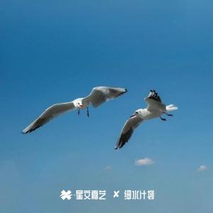 Listen to 冬虫夏草 第三季 (完整版) song with lyrics from M.R.Y麦尔彦