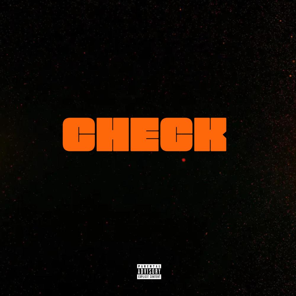Check (feat. Sam Wills, Christian Kuria & Laleh) (Explicit)