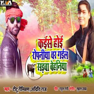 Album Kaise Hoi Ropaniya Char Gail Sadawa Behaniya from Titu Remix