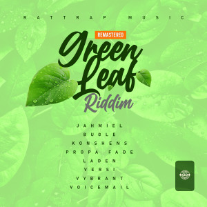ดาวน์โหลดและฟังเพลง Green Leaf Riddim (2020 Remastered Version) พร้อมเนื้อเพลงจาก Kevin White