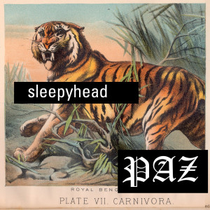 收聽Paz的Sleepyhead歌詞歌曲